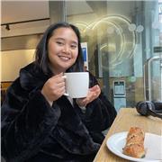 I give affordable indonesian language course